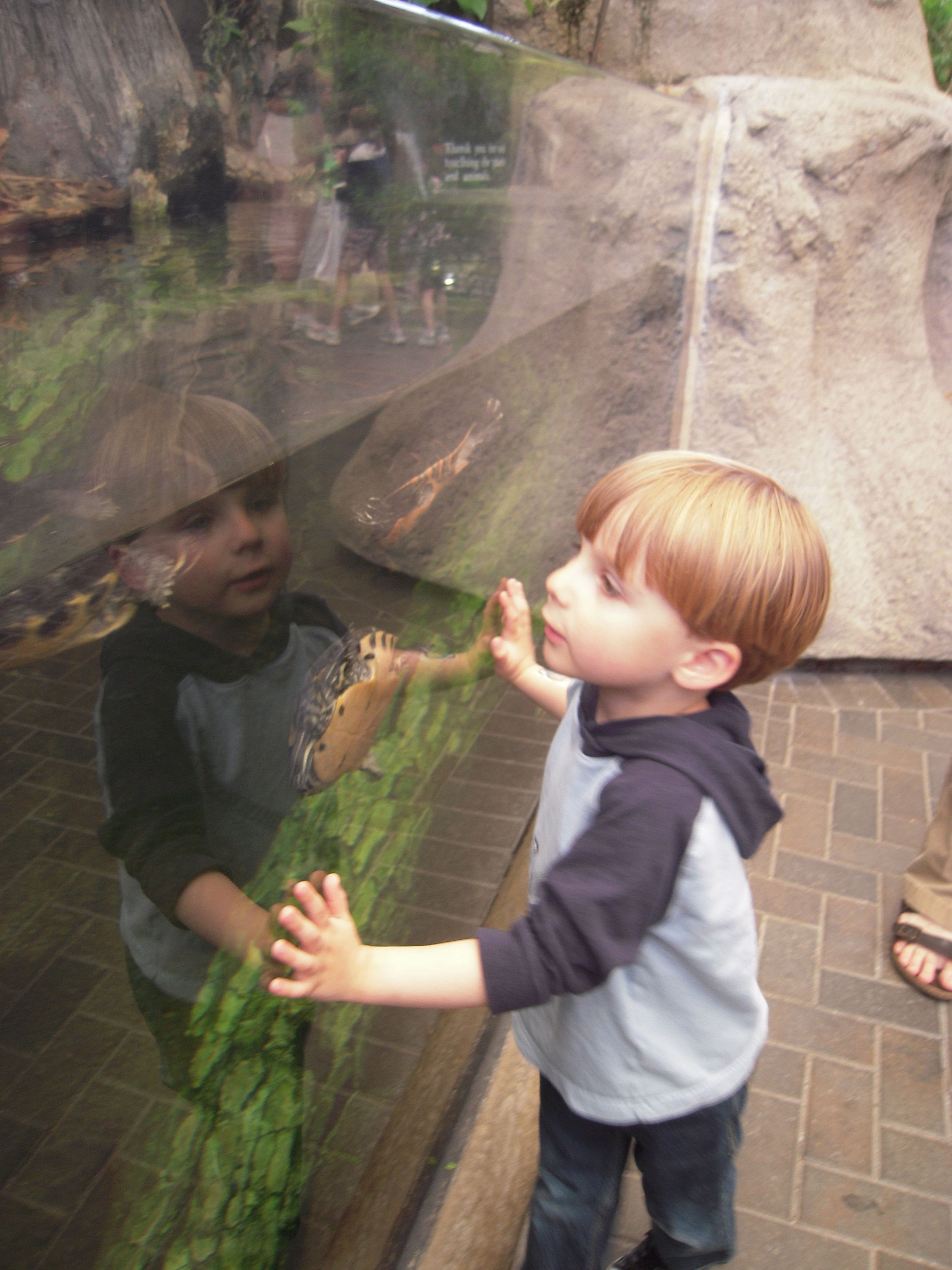 Outer Banks Trip, day 2