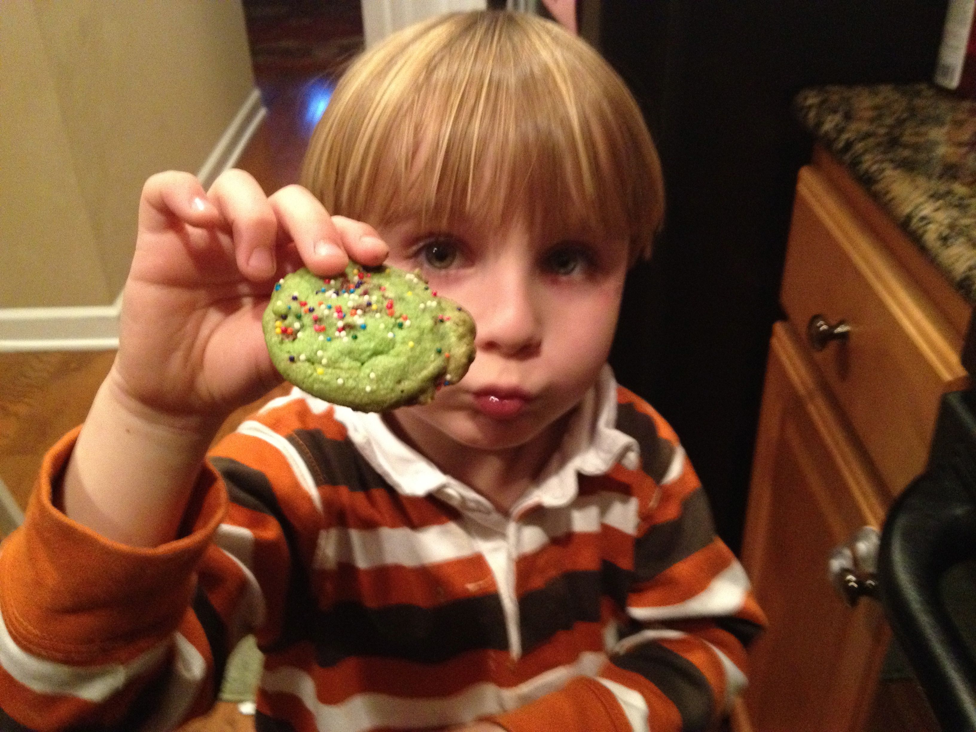 Mint Chocolate Cookies