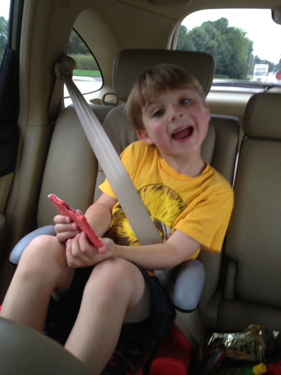 Brian’s Booster Seat