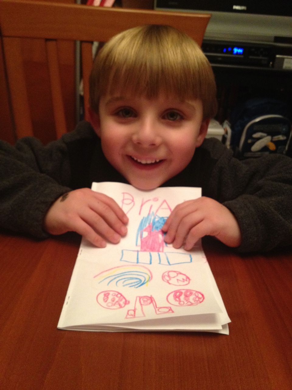 Brian’s Angry Birds Book