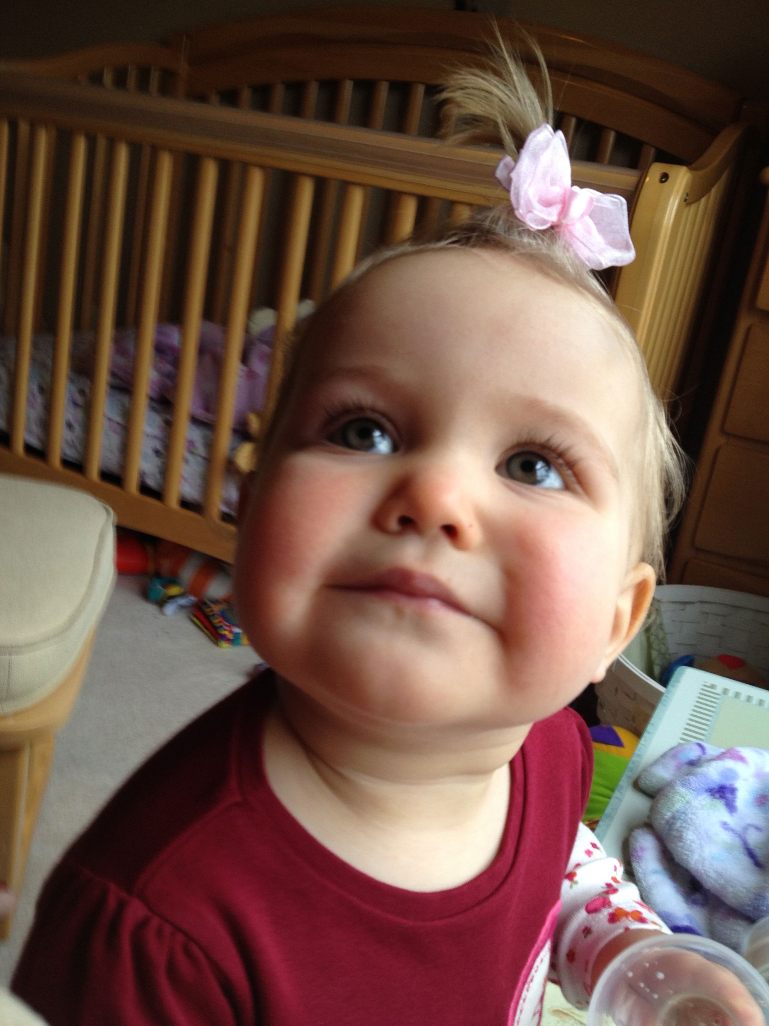 Kendall’s Bow, Brian’s Gingerbread