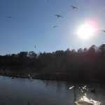 20130224-sundaypark2-30