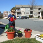 20130309-springflowers-12