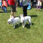 20130330-egghunt-15