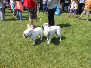 20130330-egghunt-15