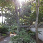 20130526-picnic-03