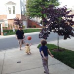 20130529-ampmcute-15