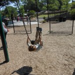 20130517-pullenpark-03