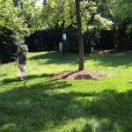 20130615-visitgrandpa-17