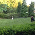 20130615-visitgrandpa-39