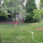 20130616-fathersday-024