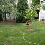 20130616-fathersday-025