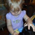 20130707-popsicles-07