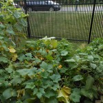 20130713-openhouse-25