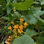 20130713-openhouse-27