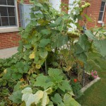 20130713-openhouse-28