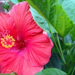 20130714-ballgame-44