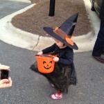 20131025-trunkortreat2-15