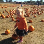 20131026-pumpkinpatch1-42