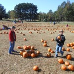 20131026-pumpkinpatch2-47