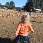 20131026-pumpkinpatch2-53