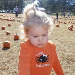 20131026-pumpkinpatch2-60
