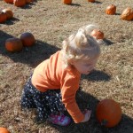 20131026-pumpkinpatch2-61