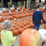 20131028-farmersmarket-09