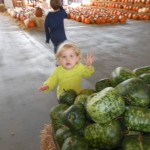 20131028-farmersmarket-13