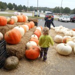 20131028-farmersmarket-28