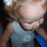 20130913-kendallsbox-27