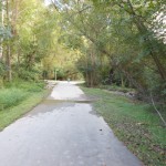 20130922-duckpark-04