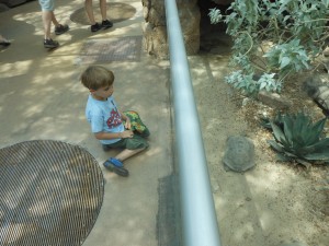 20130825-zootrip-11