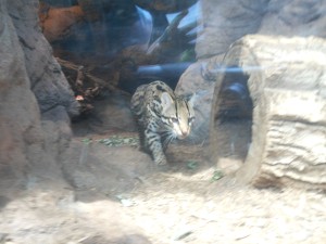 20130825-zootrip-14
