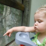 20130825-zootrip-16