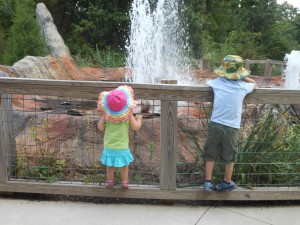 20130825-zootrip-29