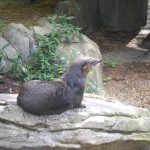 20130825-zootrip-34