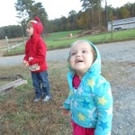 20131102-satdairyfarm-04