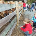 20131102-satdairyfarm-19