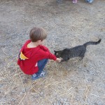 20131102-satdairyfarm-29