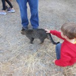 20131102-satdairyfarm-30