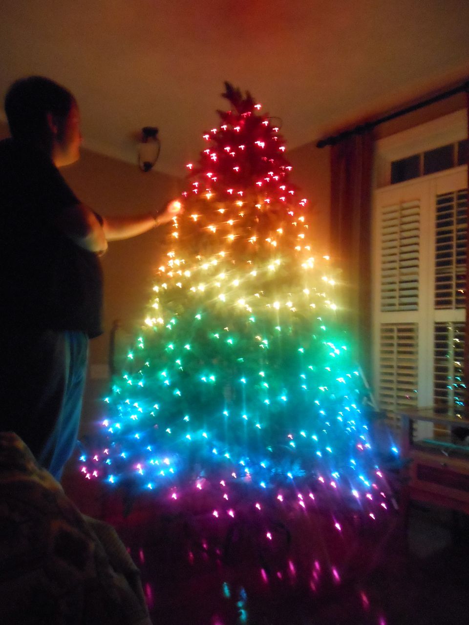 Rainbow Tree!
