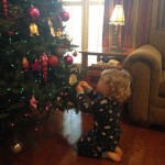 20131201-tgsun-17