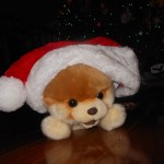 20131224-xmaseve4-26