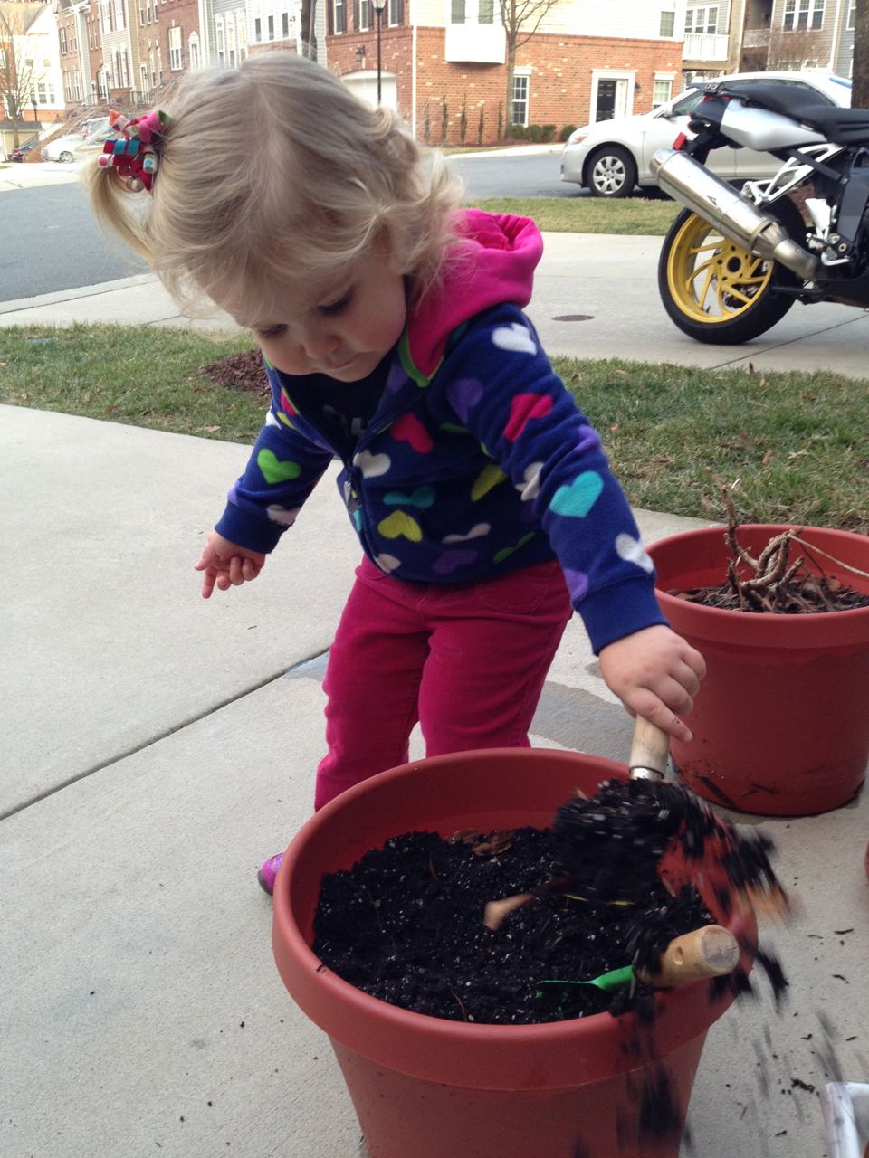 Early Spring Planting