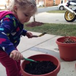 20140209-plants-10