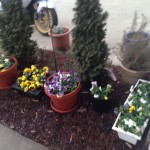 20140209-plants-11