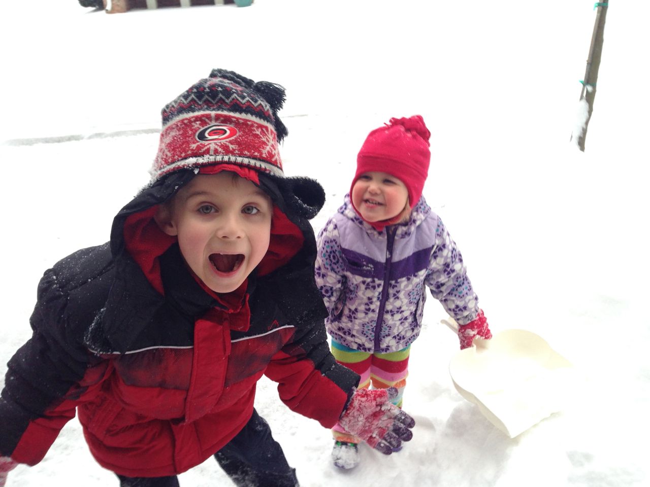 Snowpocalypse, The Revenge