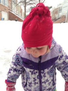 20140212-anothersnowday-12