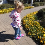 20140331-beachday2b-04